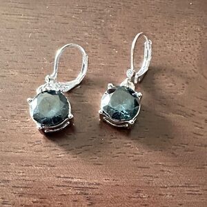 Chic Silver and Blue Gemstone Earrings
